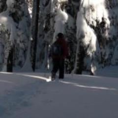 tenndoctor